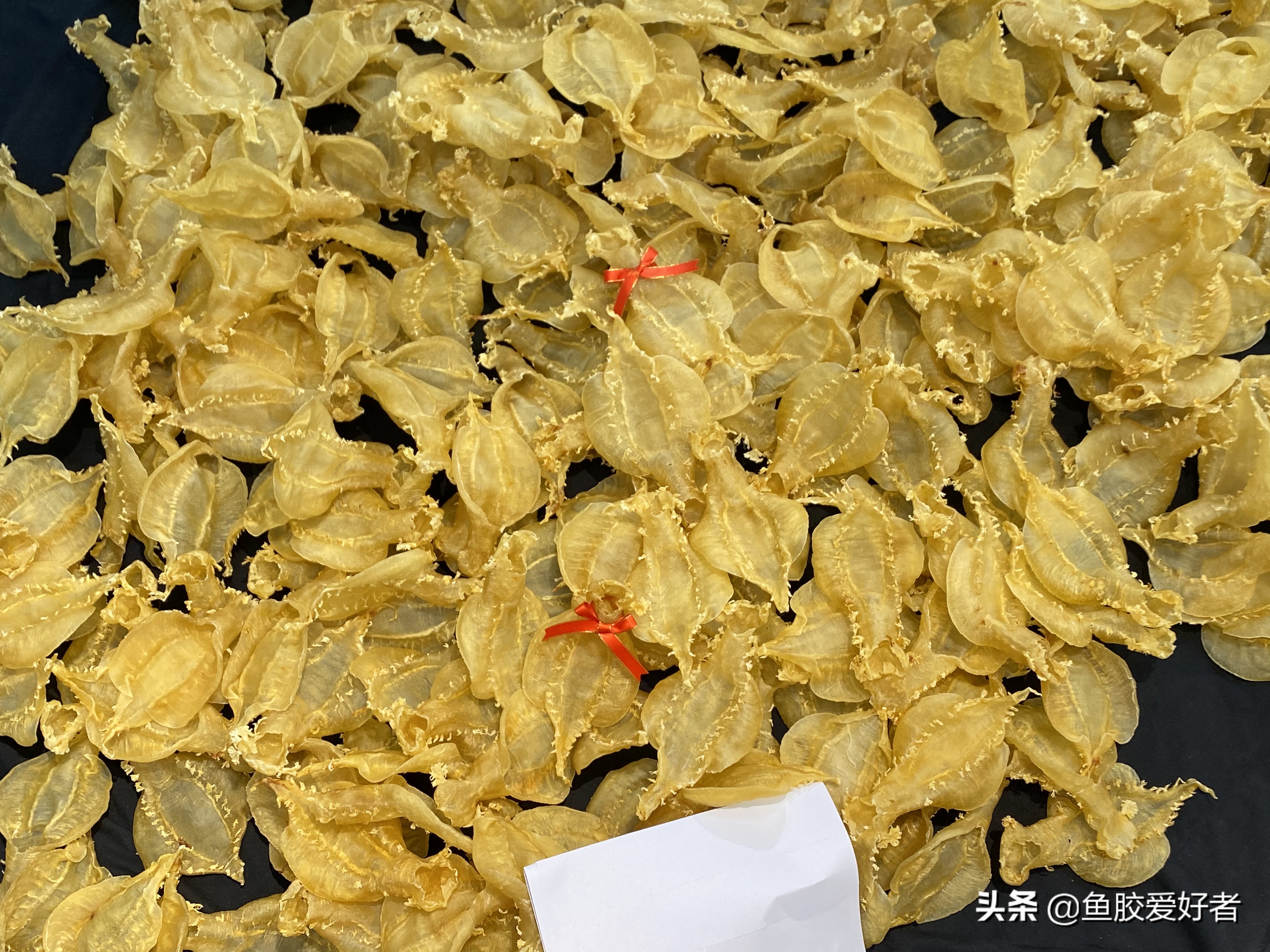 初次接触鱼胶怎么选,买鱼胶要注意什么