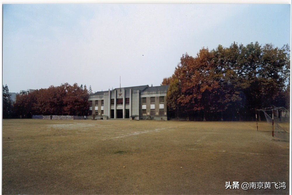 难忘的童年时光小学,我的快乐童年回忆