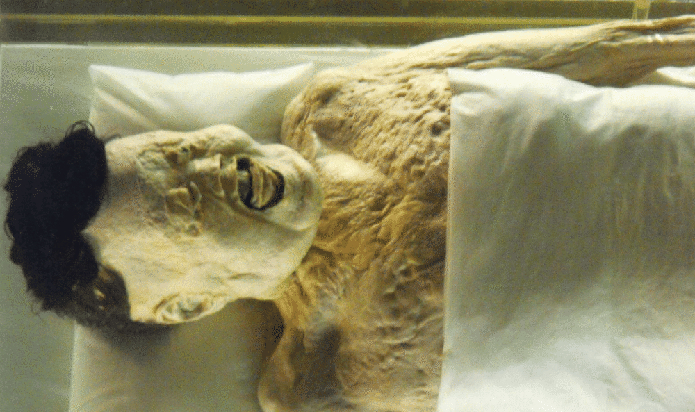 胆小鬼勿入深度解析,胆小勿进的秘密