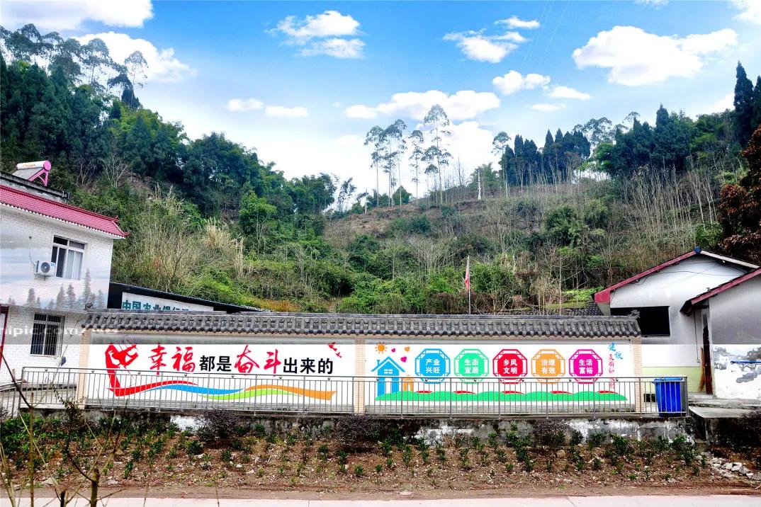 井研这五年丨门坎镇：“竹韵门坎”蝶变跃升