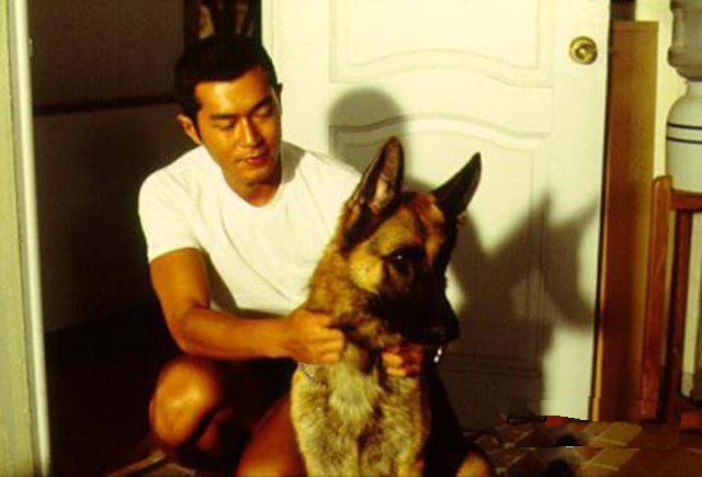 香港引进港剧,8090年代引进的港剧神剑