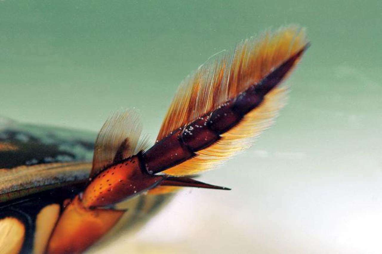 姘翠腑楝ｇ嫍,姘翠笅楝ｇ嫍