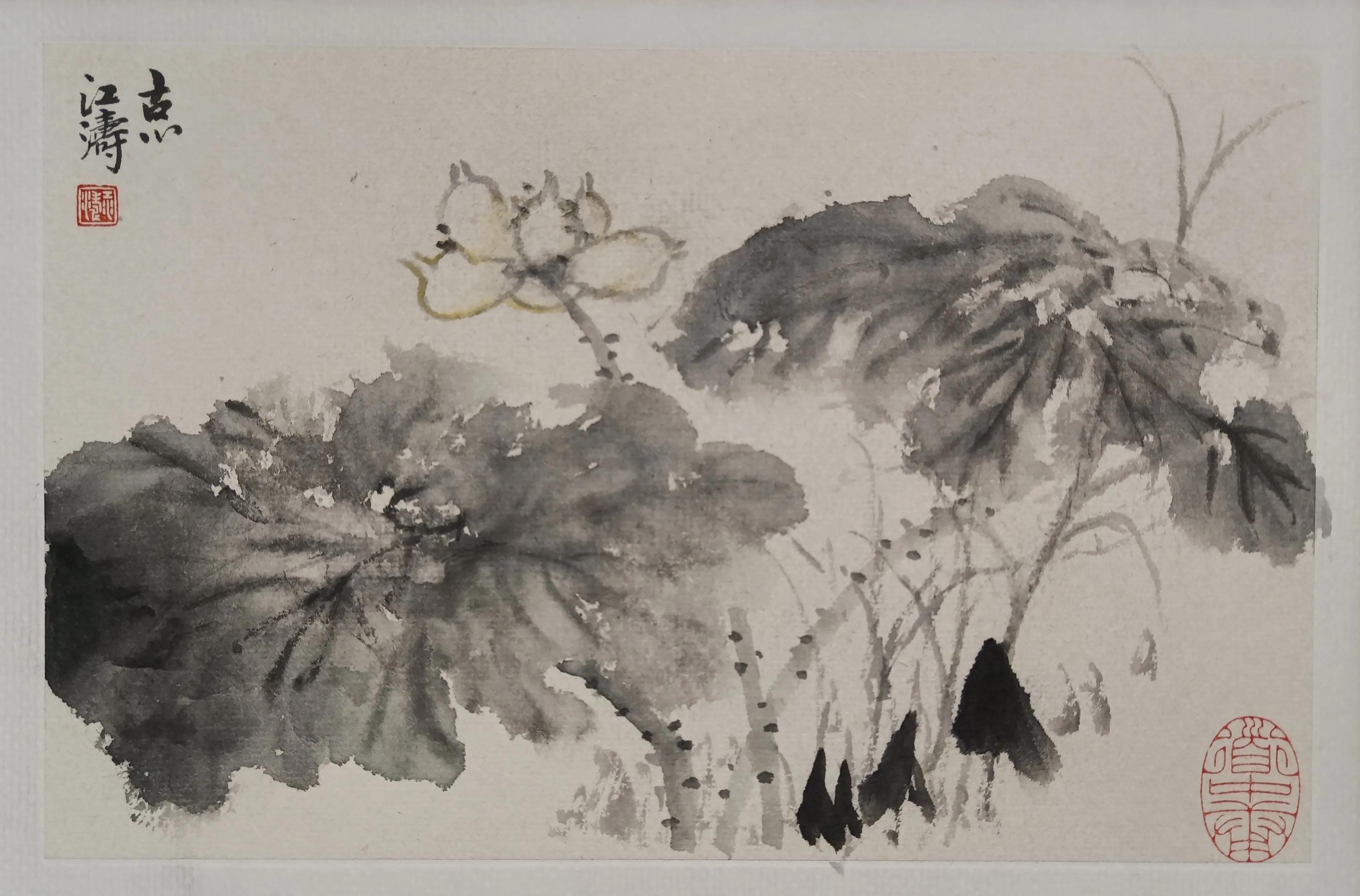 中国书法家江涛,中国墨江介绍视频