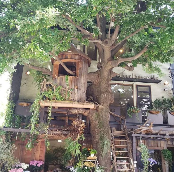 日本青山花店,日本花店推荐