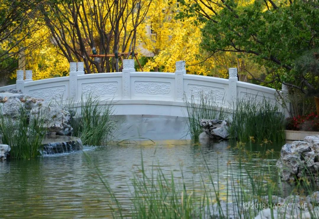 星河晋府文化解析,星河集团文化理念是什么