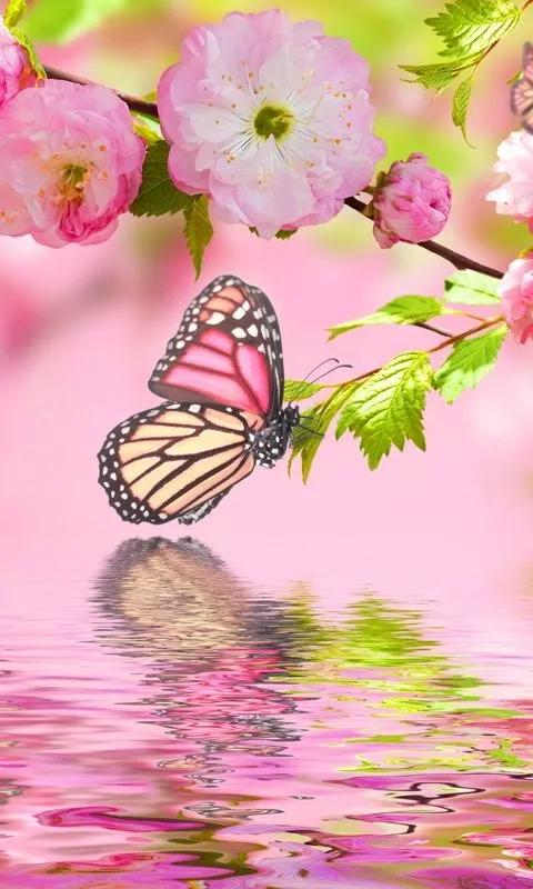 100个惊艳的美人盘点,中国最美的50个美人