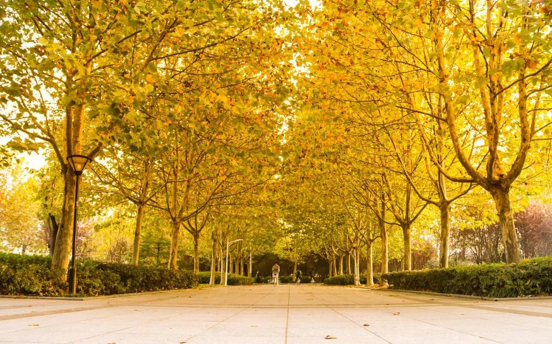 安徽13所一本大学名单,安徽省高校简介