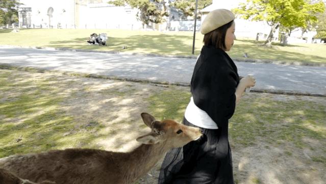 超级妈妈带娃日常生活,超级妈妈带5个孩子