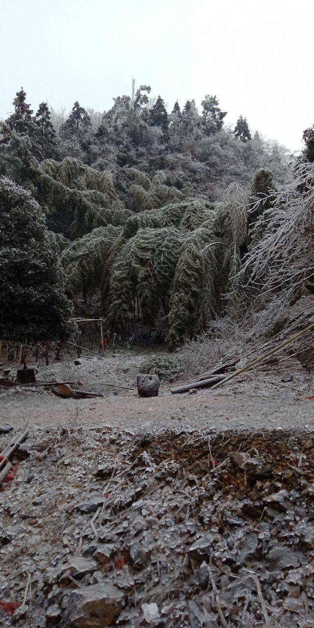 新手养羊八大禁忌,新手养羊