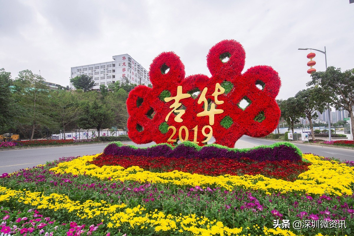 深圳龙岗吉华街道地图,龙岗吉华街道办事处是哪里