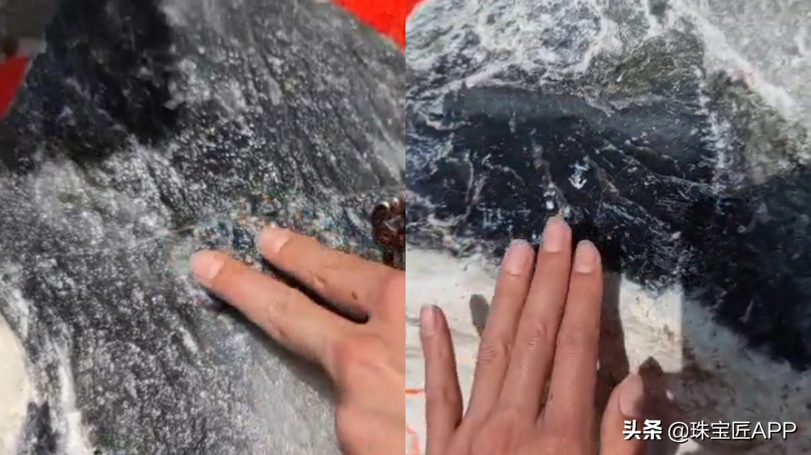 和田玉潜力股一览表,和田玉烟紫是哪里的料