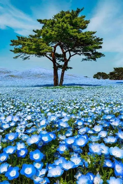 去了这30个地方一生就值得了,此生一定要去的14个地方