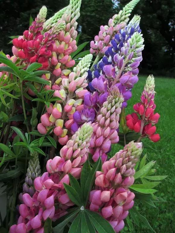 涨姿势为什么叫涨知识,涨姿势怎么解释