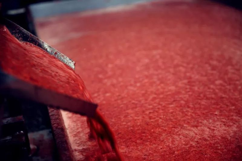 致中和国养国际金奖2012珍藏版,致中和中华老字号酒配料