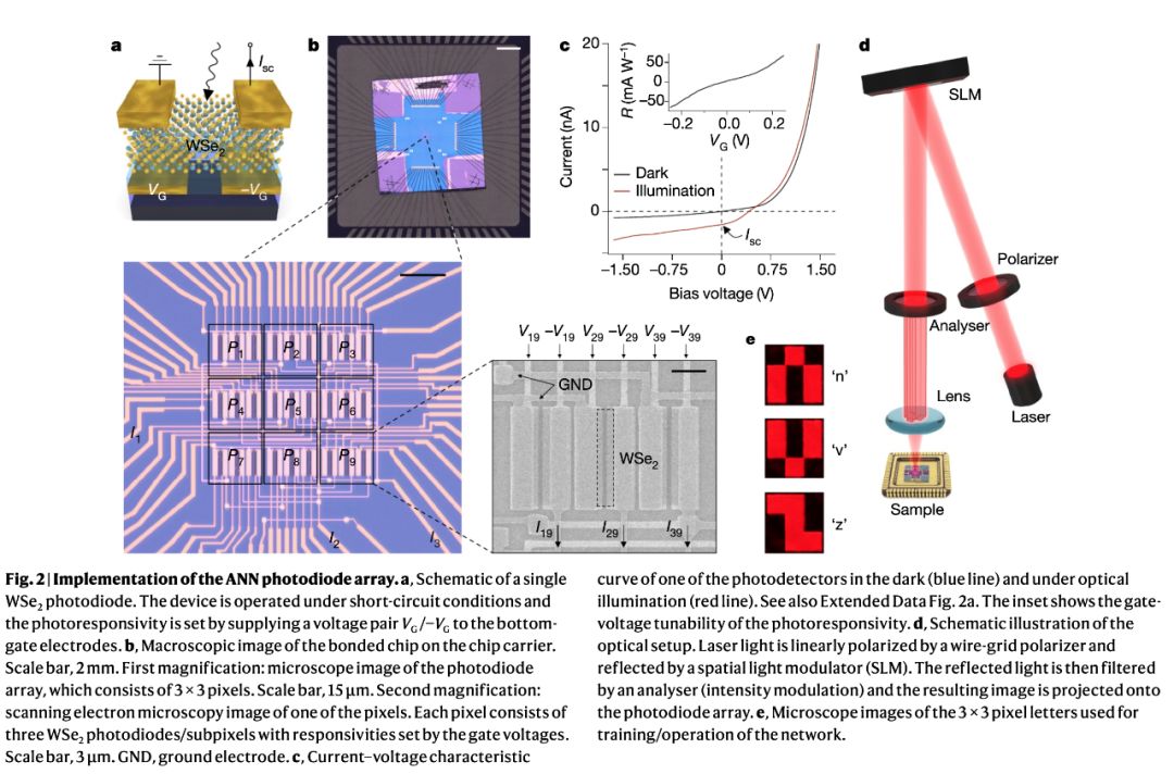 nature最新科研,nature最新研究证明