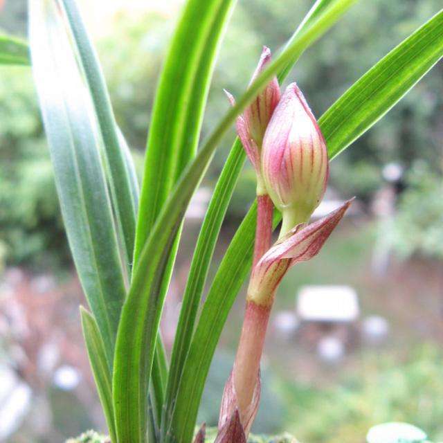 中考关联词语有哪些大全,中考关联词大全