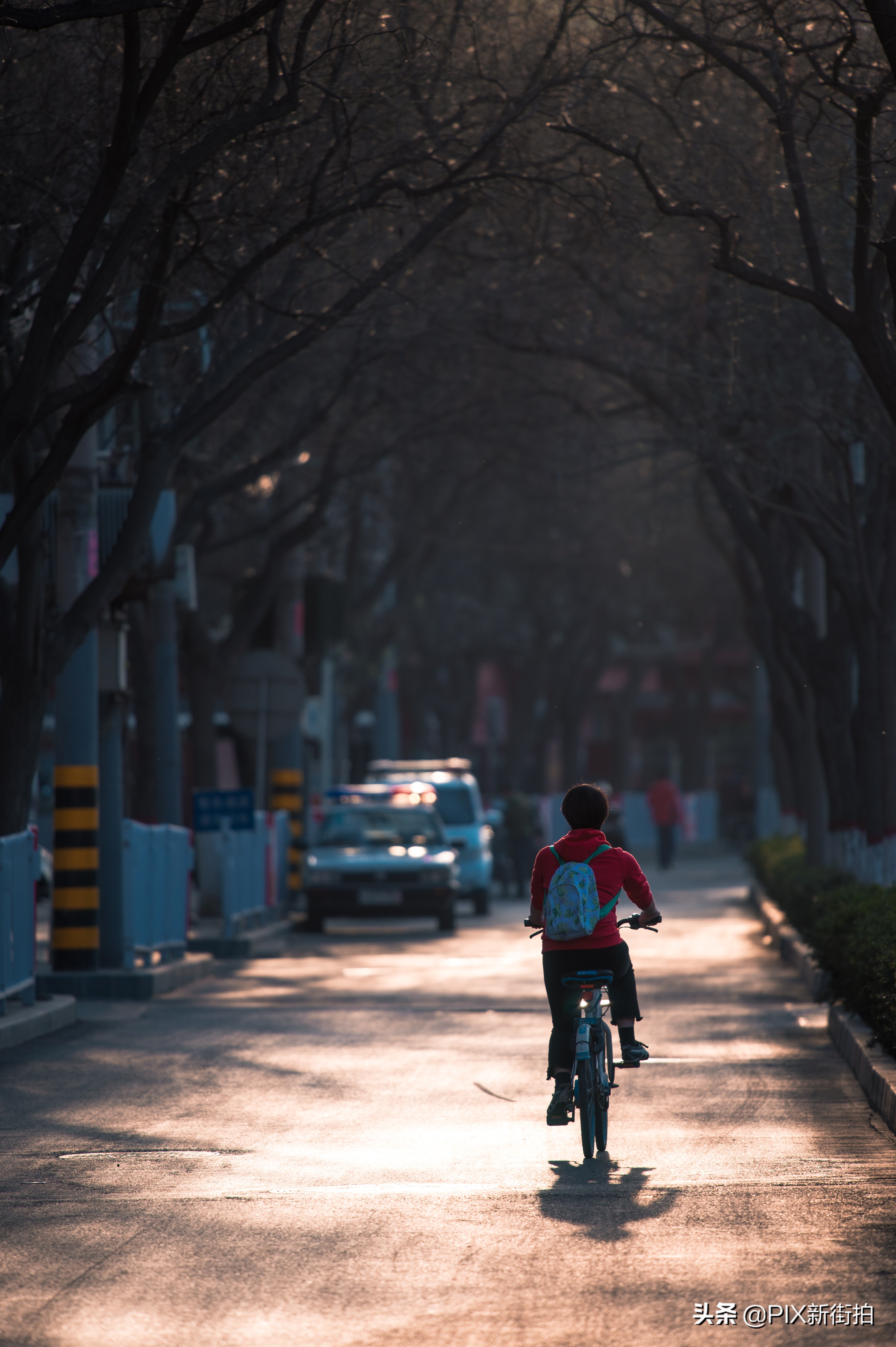 尼康70-300mmf4.5-6.3画质测评,尼康70-300和70-200f4的选择