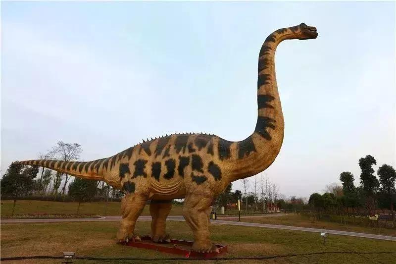 几十块钱玩一天,几十块钱玩一天天津