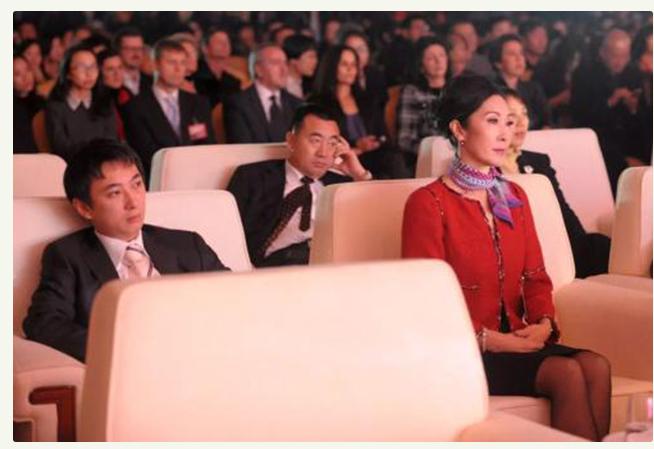 王思聪背后的故事,王思聪妈妈林宁和林更新什么关系