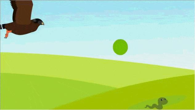 猪是蛇的克星这是真的吗,猪是龙的克星吗