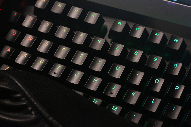 黑寡妇蜘蛛幻彩版和标准版,黑寡妇蜘蛛幻彩版灯光