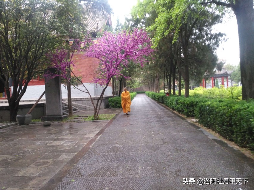白马寺十八罗汉图,白马寺十八罗汉