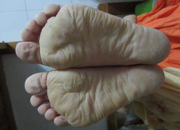 一顿操作猛如虎下一句是什么,一顿操作猛于虎视频完整版