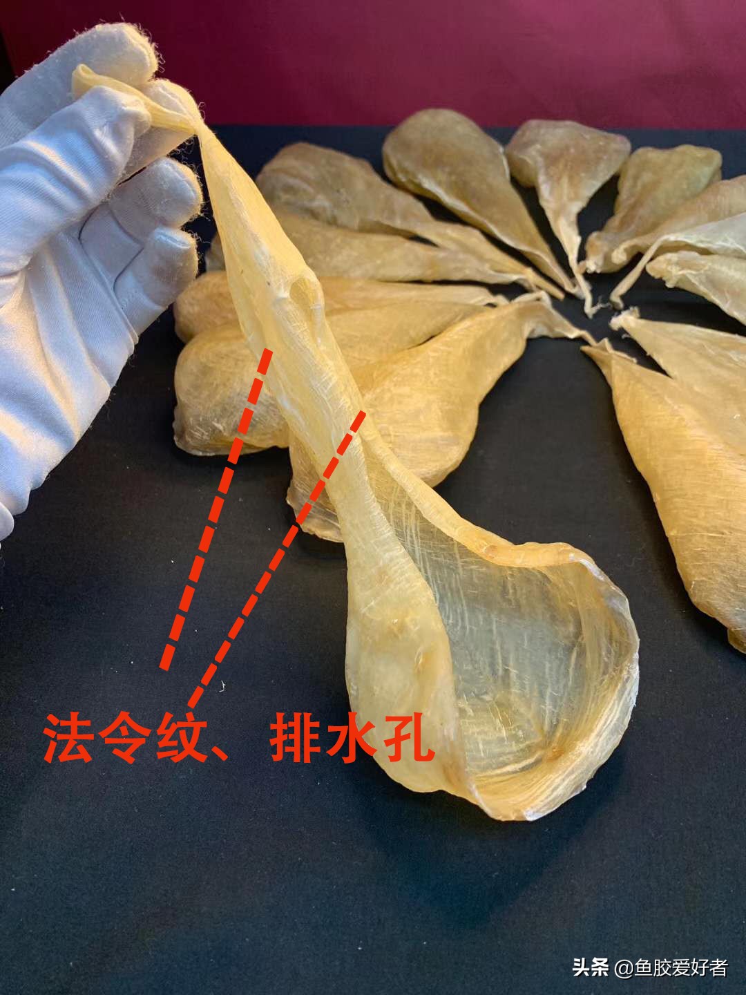 白花胶怎么做功效最好,白花胶怎么炖煮