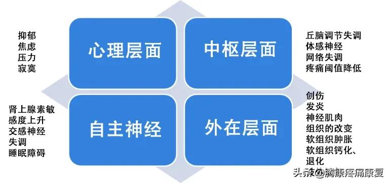 中风后，疼痛都从哪来