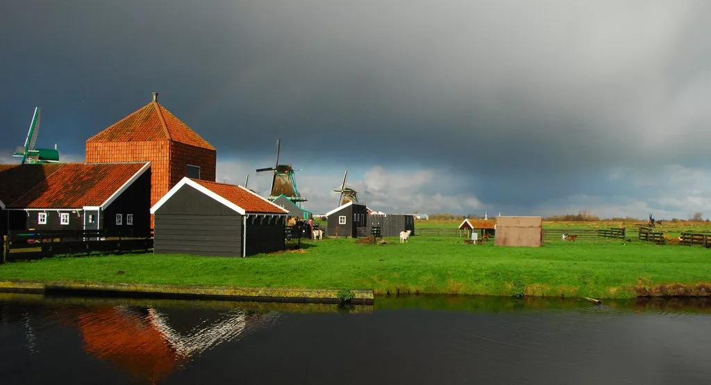 全球排名前十大羊奶粉品牌,大品牌前十的羊奶粉有哪些