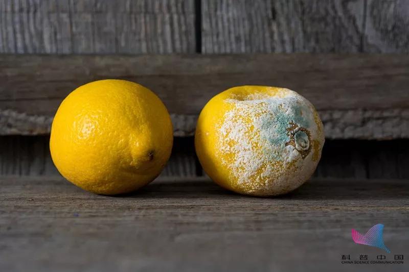 钦州网友，看完回去告诉家里人！鱼的这个部位不能吃，有剧毒