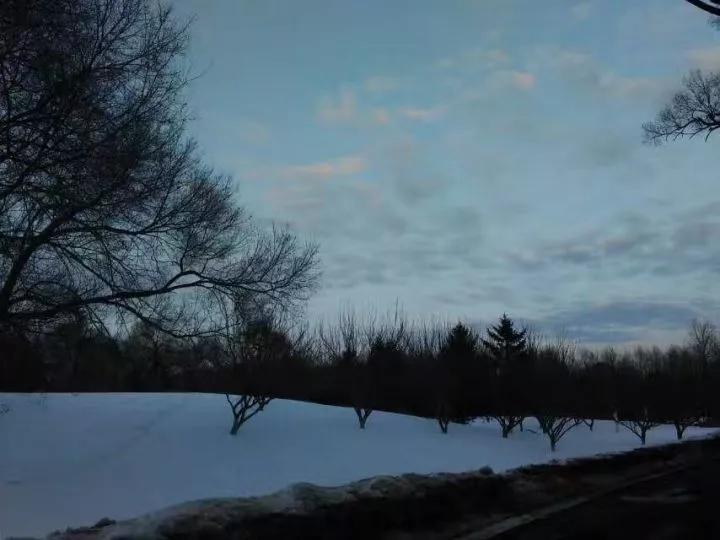 吉林市第一中学吉林市排名,吉林市省重点高中