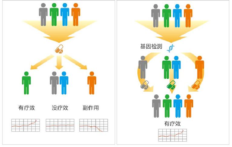 基因检测精准用药国际最高标准,抗抑郁精准用药基因检测报告