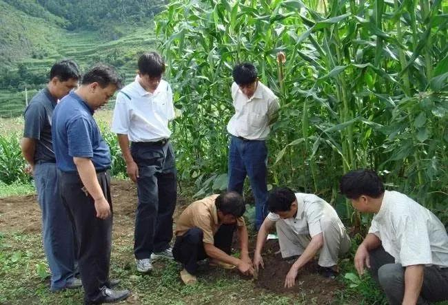 向往的田园生活的感悟,向往田园生活能让人内心宁静