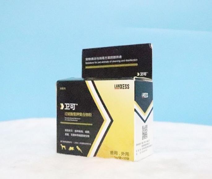 教你如何治猫癣,治疗猫癣的最有效办法