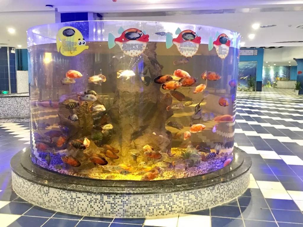 长沙洋沙湖,长沙洋湖附近游玩