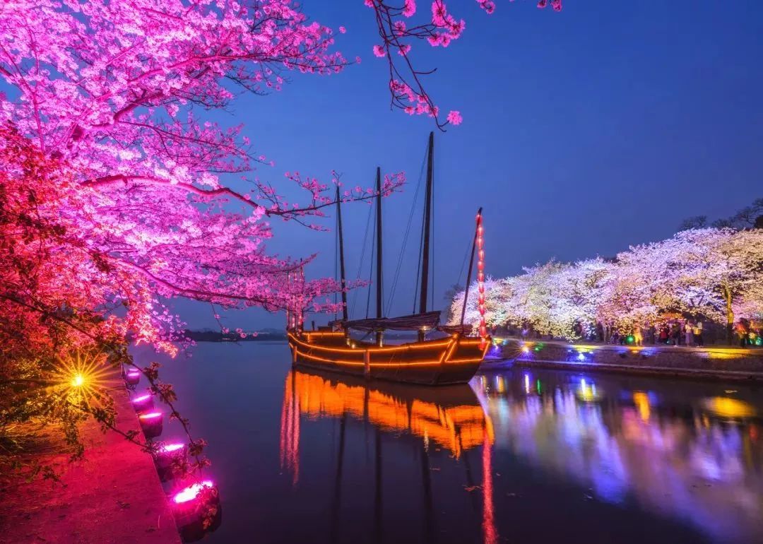 三大赏樱胜地哪个地方樱花最多,国内赏樱花的最佳地点