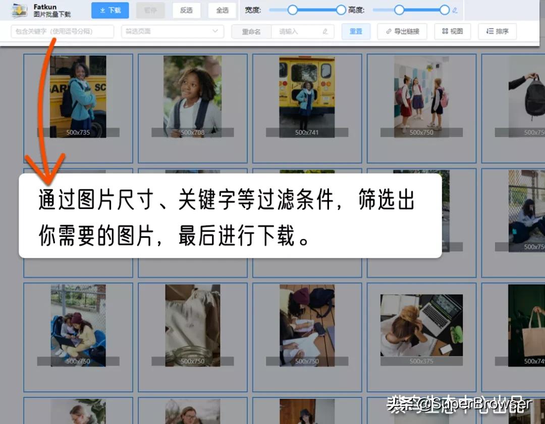 想要批量*载下**图片？这2个宝藏工具帮你搞定