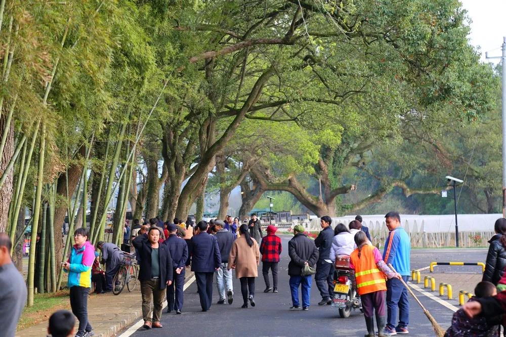 【谁不说咱家乡美】美丽中国，“乡”约万安（河西片）