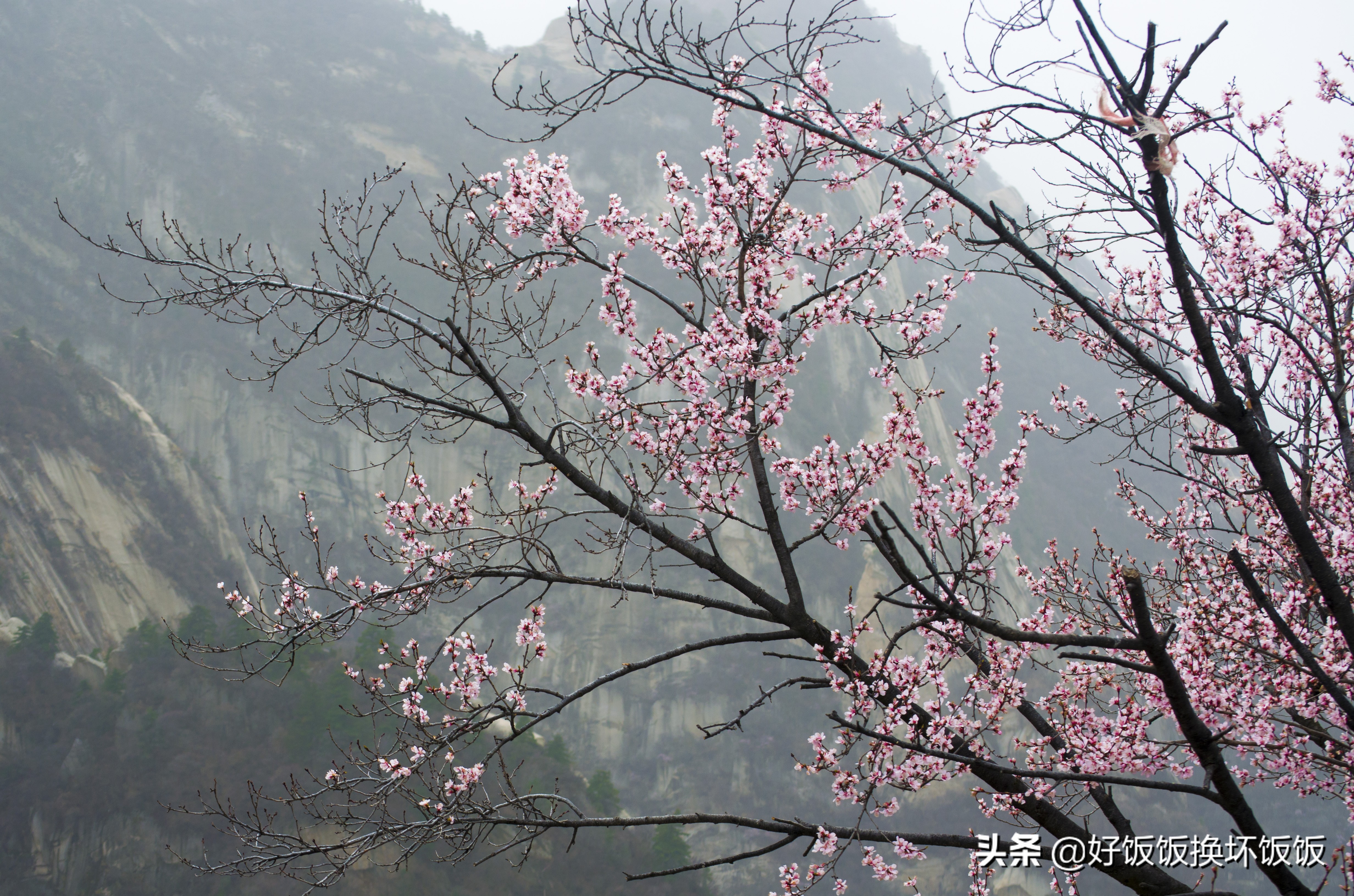 华山站到华山北峰怎么走,华山西峰到华山北峰山路怎样