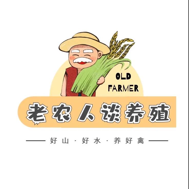 养鸡拉稀最有效的偏方,养鸡常得病的偏方