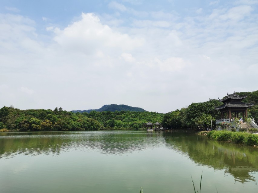 东莞长安周边一日游景点大全,东莞松山湖一日游最佳攻略