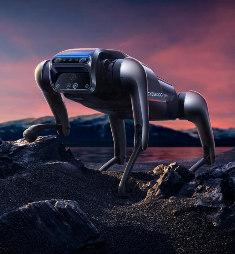 雷军铁蛋测试,雷军演示铁蛋机器