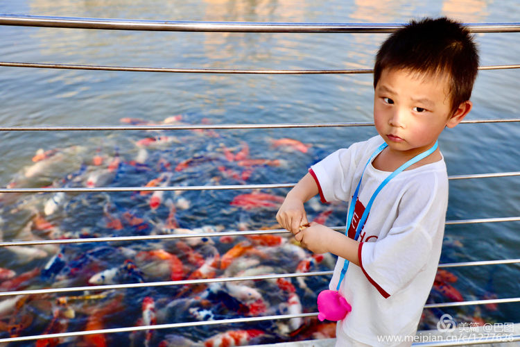 金色童年8张图片,金色的童年相片