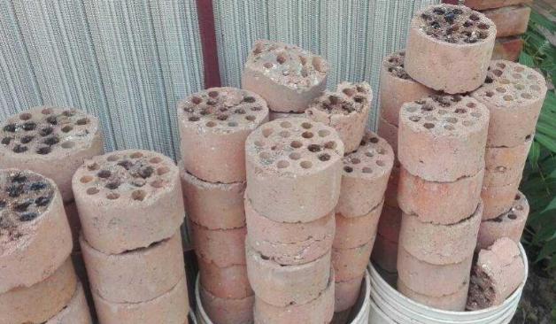 蜂窝煤养多肉有什么好处,蜂窝煤养多肉要怎么处理