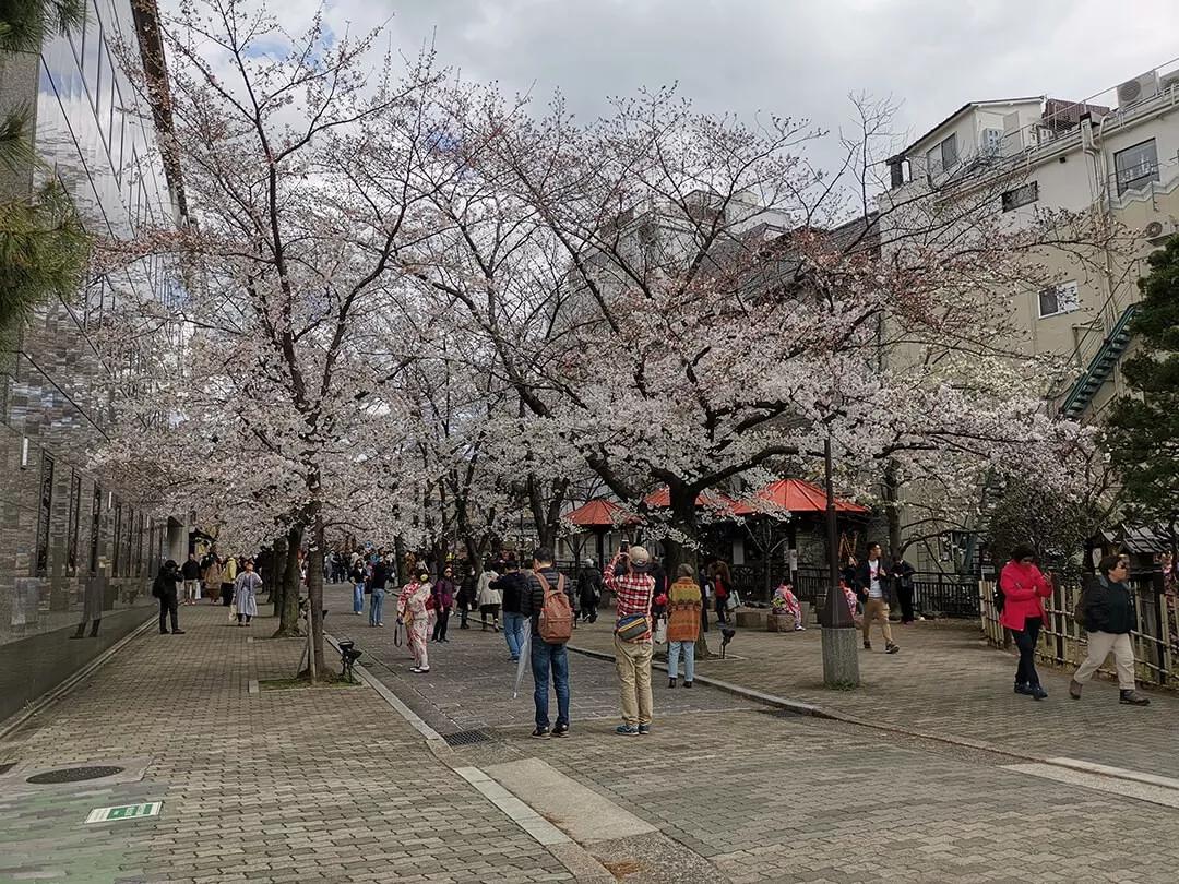 「慢达世界」第216期：短暂停留的京都生活，柊家的待客之道