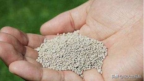 接下来一个月，农村集市上将出现1种“*局骗**”，每年有不少人上当