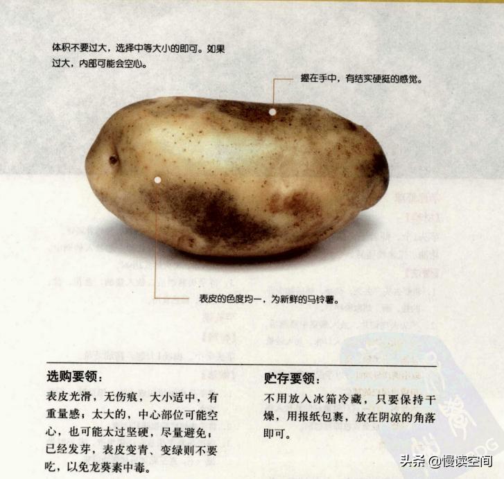 素食流行的原因,素食行业历史真相