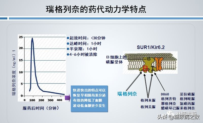糖尿病吃什么降糖最快不伤肝,得了糖尿病打胰岛素就没事了吗