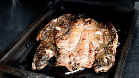 鍚堢敓鎺㈢倝鐑ら奔鍥㈣喘,鎺㈢倝鐑ら奔鍥㈣喘鍚堢敓骞垮満